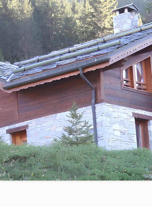 Zingueur 1